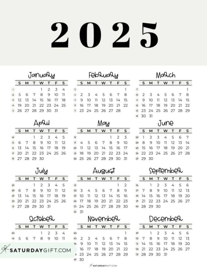 5 Year Calendar 2025 to 2029 Printable