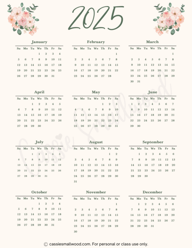 Aesthetic 2025 Calendar Printable