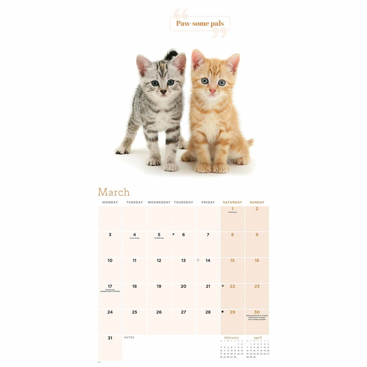 Cute Cats Calendar 2025 with regard to Printable Cat Calendar 2025