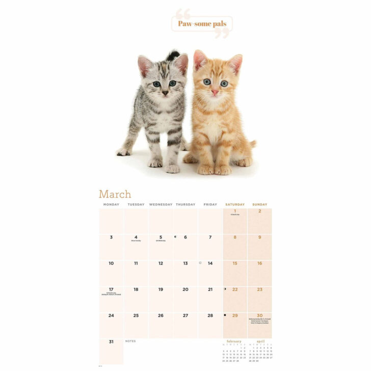 Free Printable Cat Calendar 2025