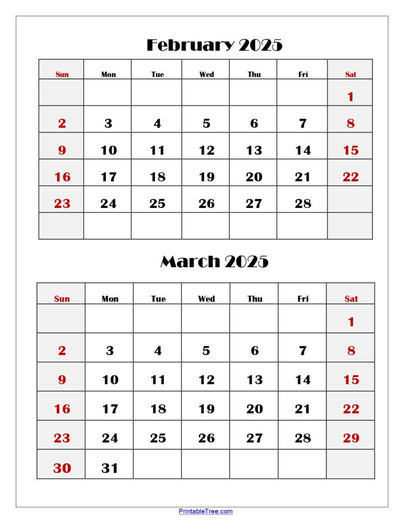 February And March 2025 Calendar Printable | Two Months Calendar with regard to February and March 2025 Calendar Printable