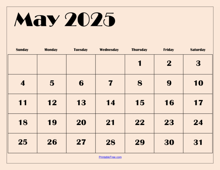 Monthly Calendar May 2025 Printable