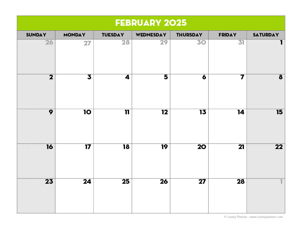 2024 and 2025 Calendar Planner Printable Printable Calendars