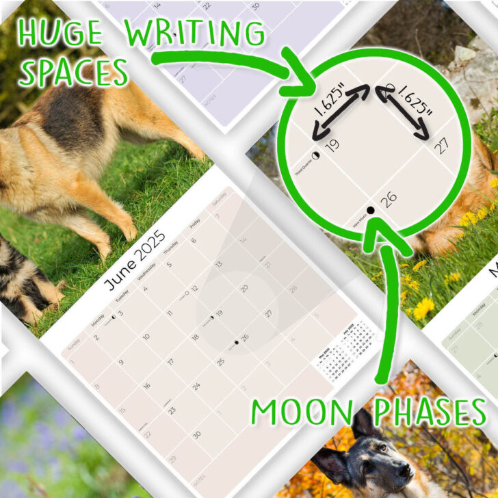 Printable Dog Calendar 2025 Printable Dog Calendar 2025
