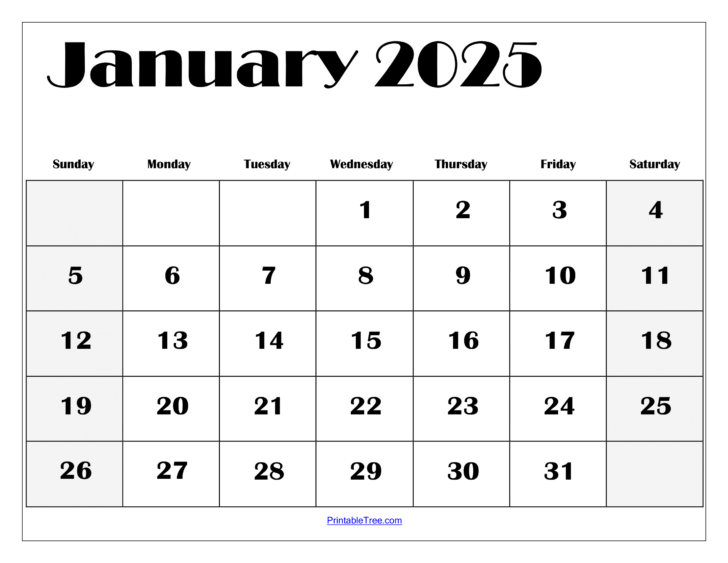 Jan 2025 Printable Calendar