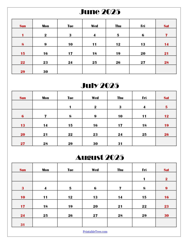 Printable Calendar August 2025 to June 2025