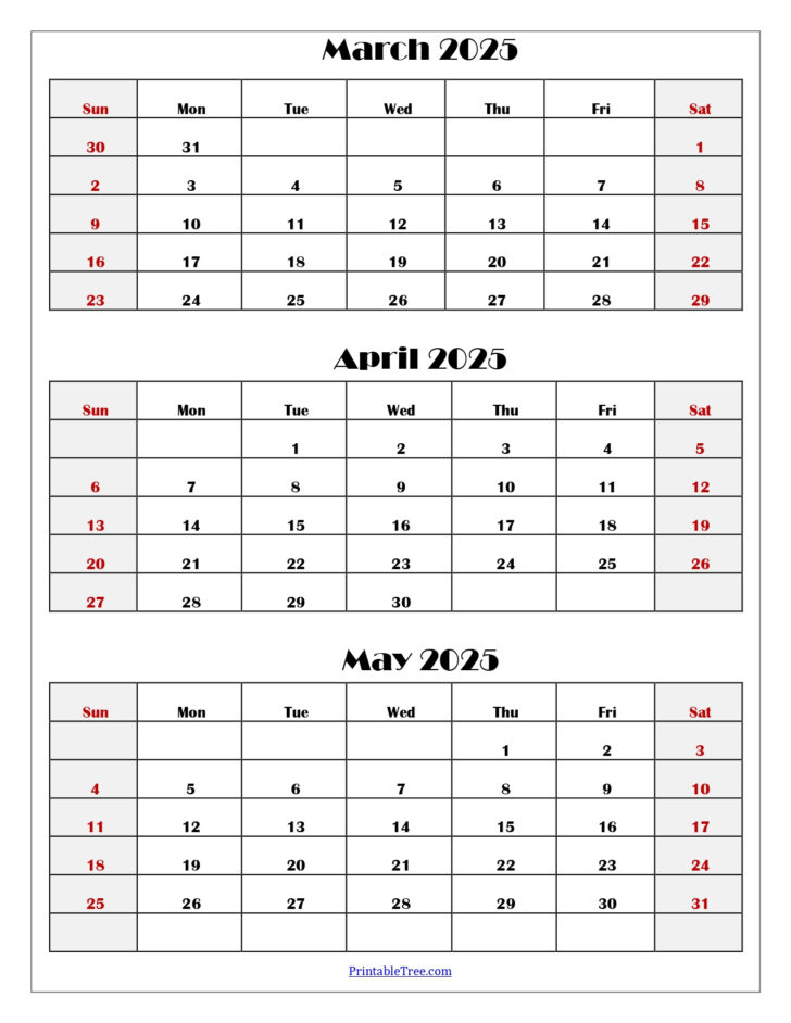 Printable Calendar March April May 2025
