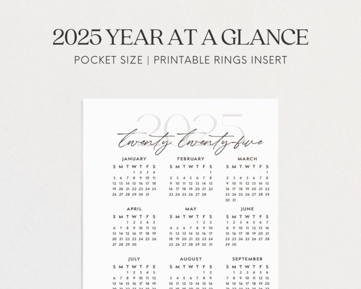 Printable 2025 Pocket Calendar