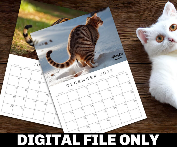 Printable Cat Calendar 2025