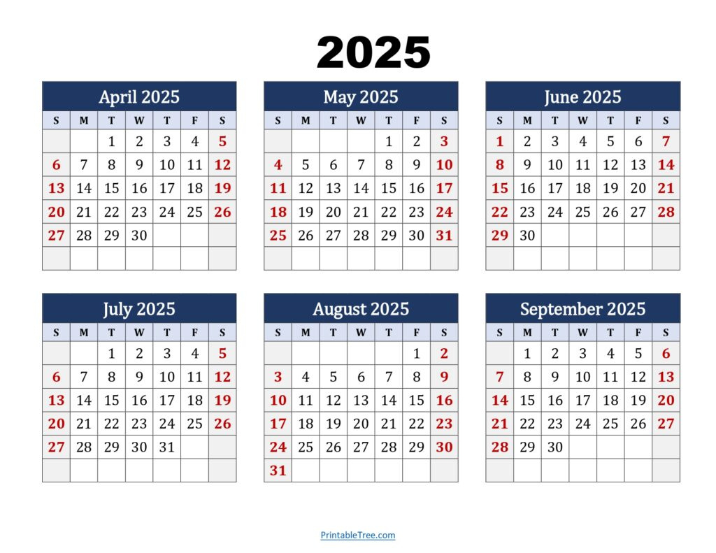 Six Month Calendar 2024-2025 Printable Pdf- 6 Months Calendar for 6 Month Calendar Printable 2025