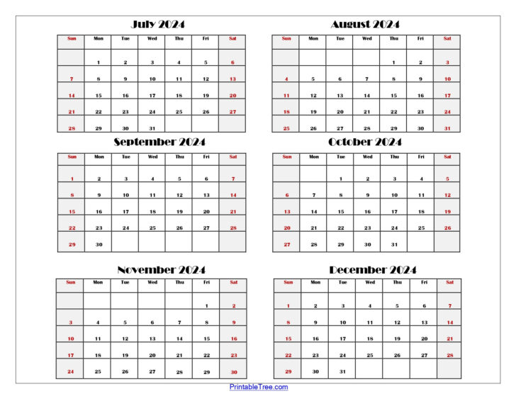 6 Month Printable Calendar 2025