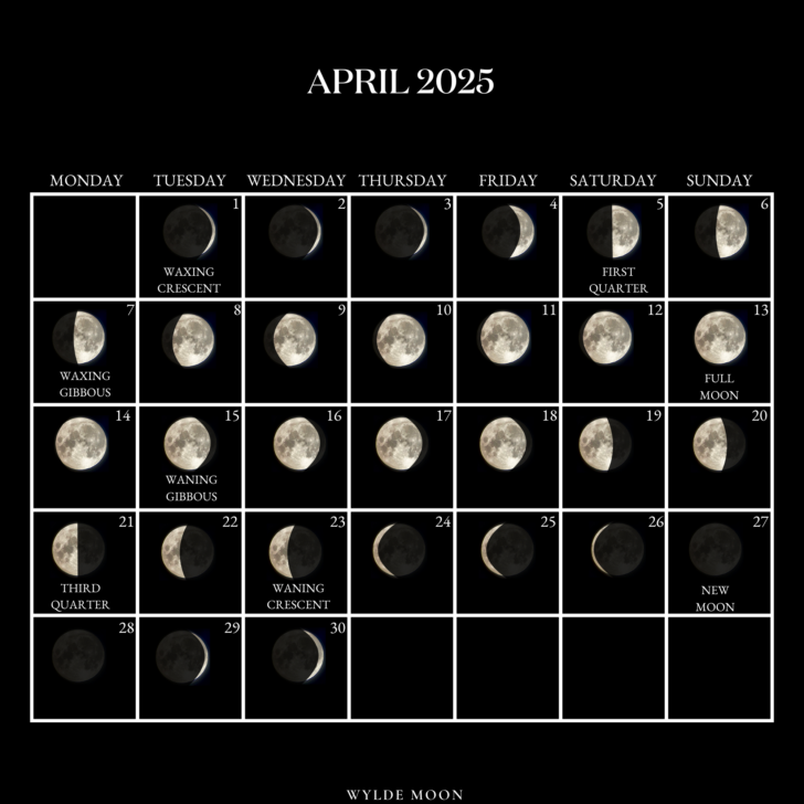 2025 Free Printable April Moon Phase Calendar