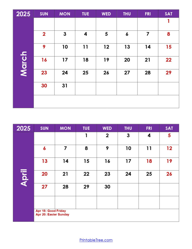 April 2025 to March 2026 Calendar Printable
