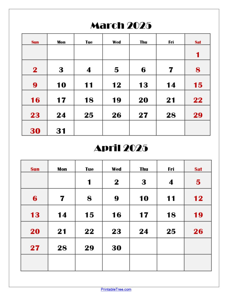 2 Month March April 2025 Calendar Printable
