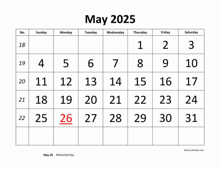 Large Printable May 2025 Calendar