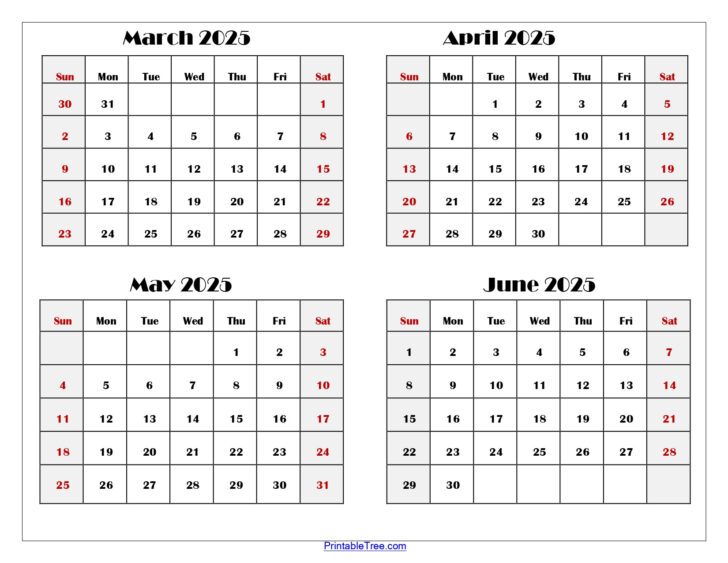 March April May June 2025 Calendar Printable