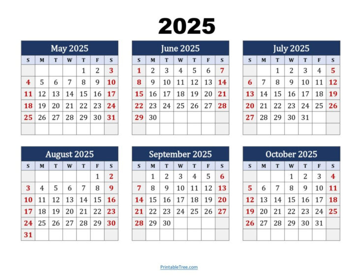 November 2024 to May 2025 Printable Calendar