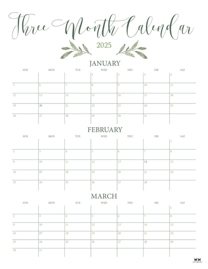 3 Month Calendar 2025 June July August