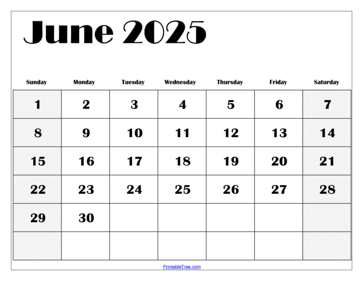 Calendar 2025 June and July