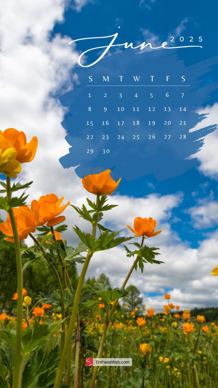June 2025 Wallpaper Calendar