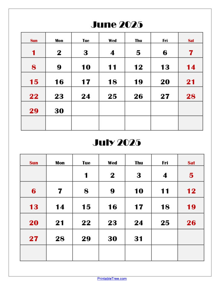 July to June 2025 Calendar Printable