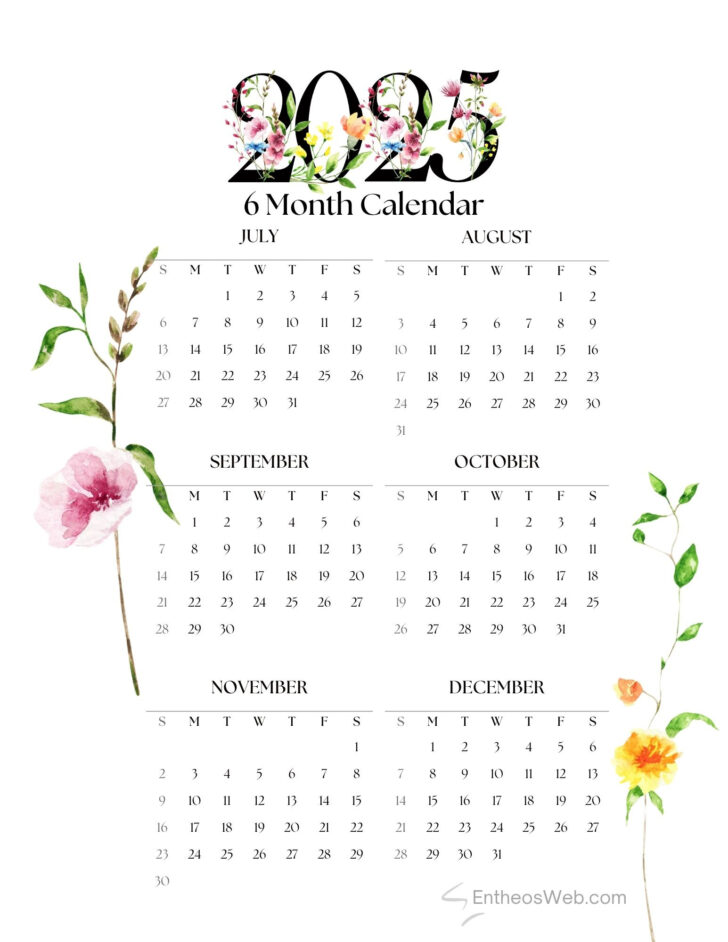 July to December 2025 Calendar