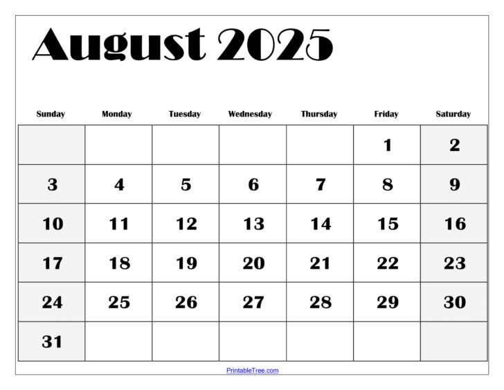 Blank Printable August Calendar 2025
