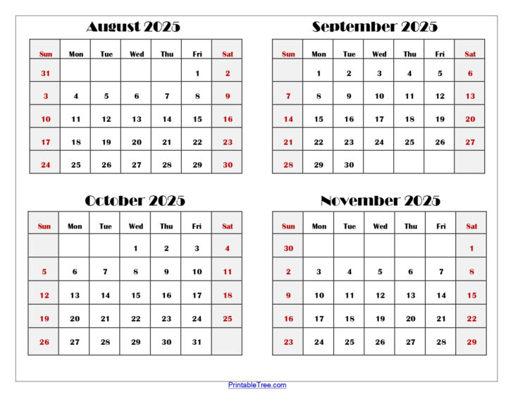 August to December 2025 Calendar