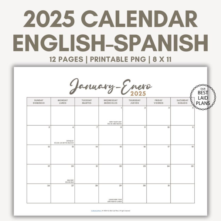 August 2025 Calendar in Spanish