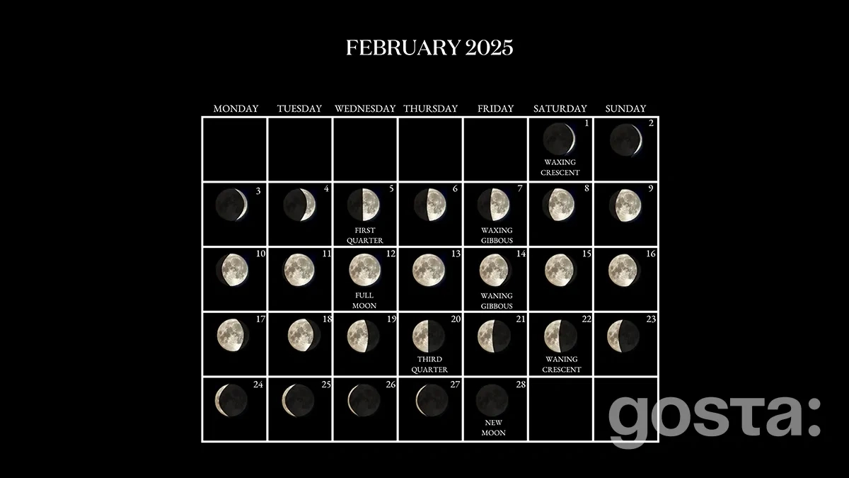 Lunar Calendar For February 2025: Favorable Days within Lunar Haircut Calendar August 2025