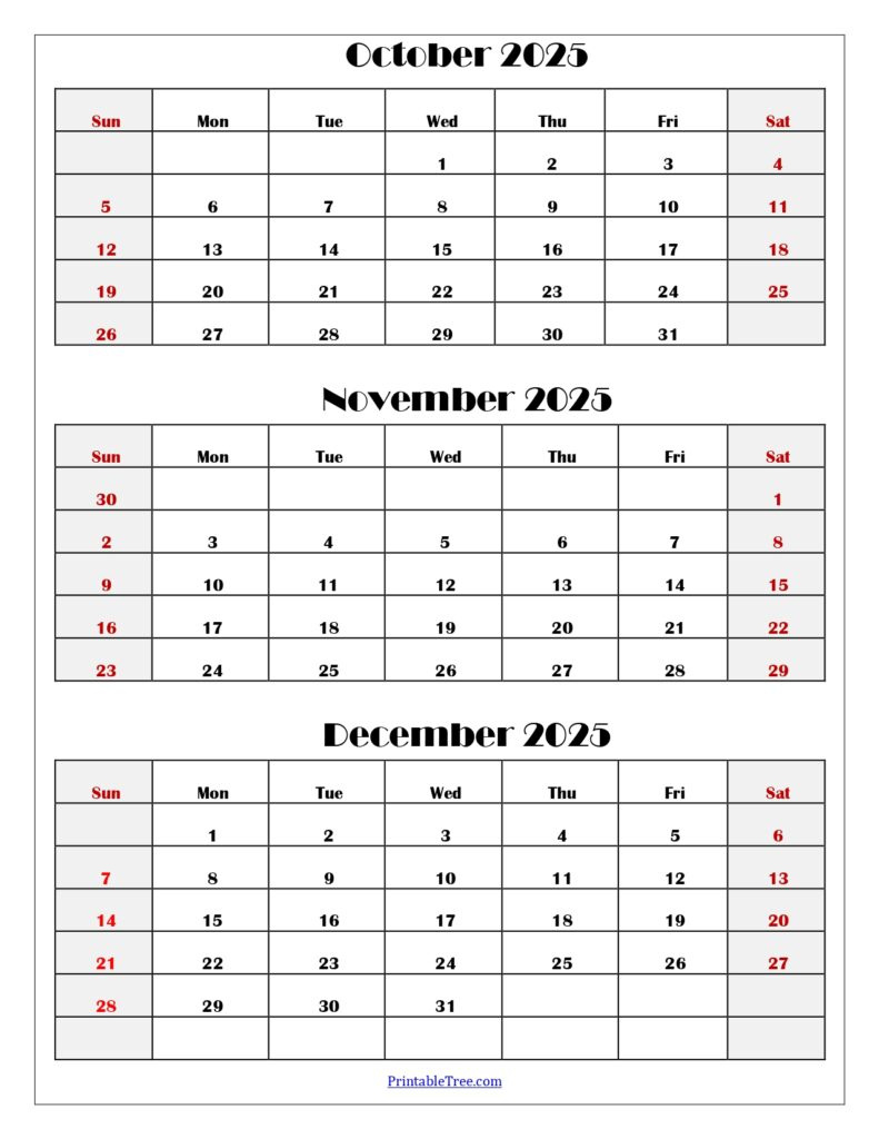 August To October 2025 Calendar Printable Pdf | Three Months Calendar for October To December 2025 Calendar