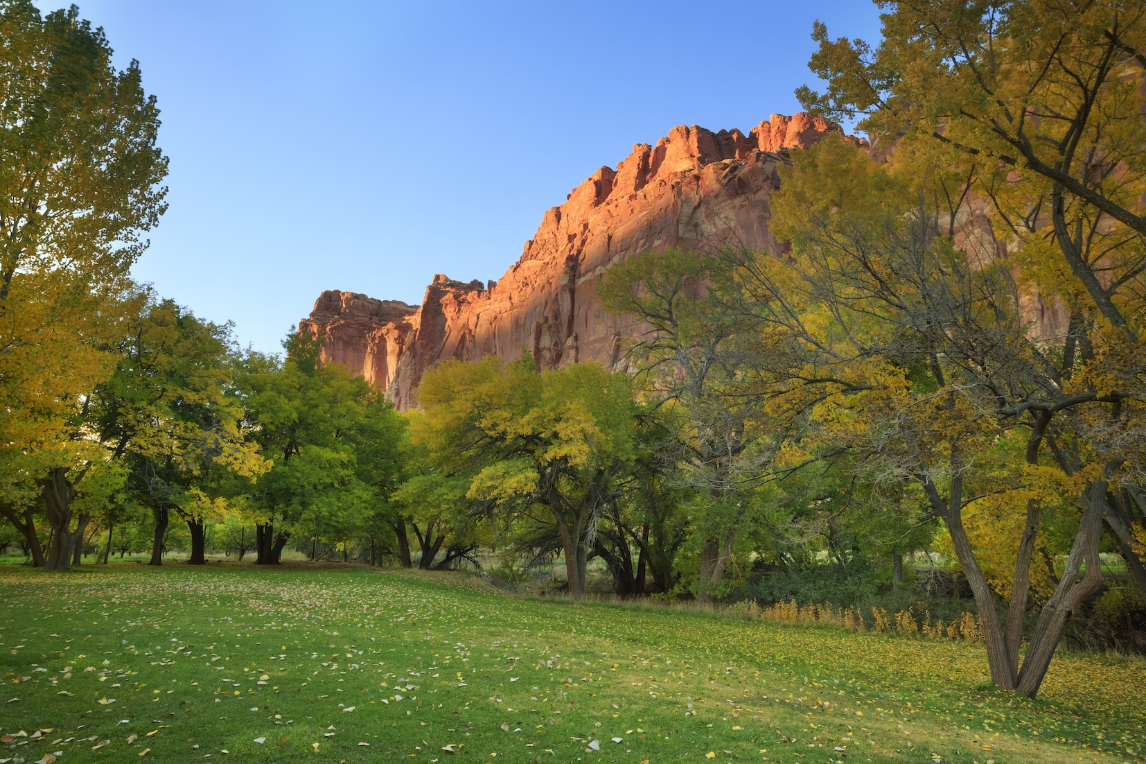 Best Time To Visit Zion National Park In 2025 – Seasonal Guide inside Weather In October In Zion National Park 2025