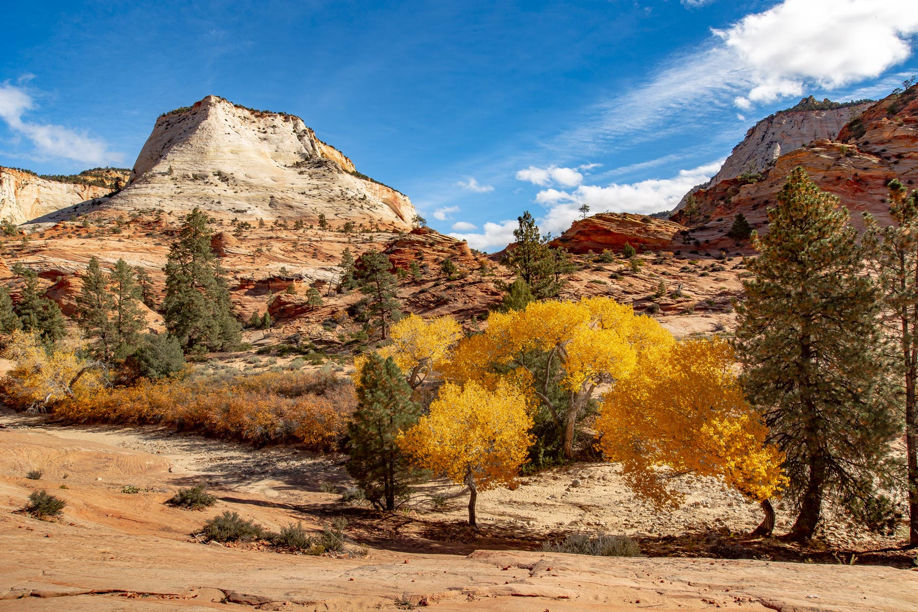 Fall In Zion National Park: Everything You Need To Know regarding Zion National Park in October 2025