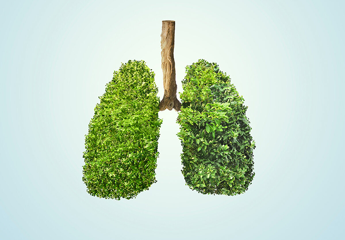 Healthy Lung Month - National Today intended for October is National What Month Health 2025