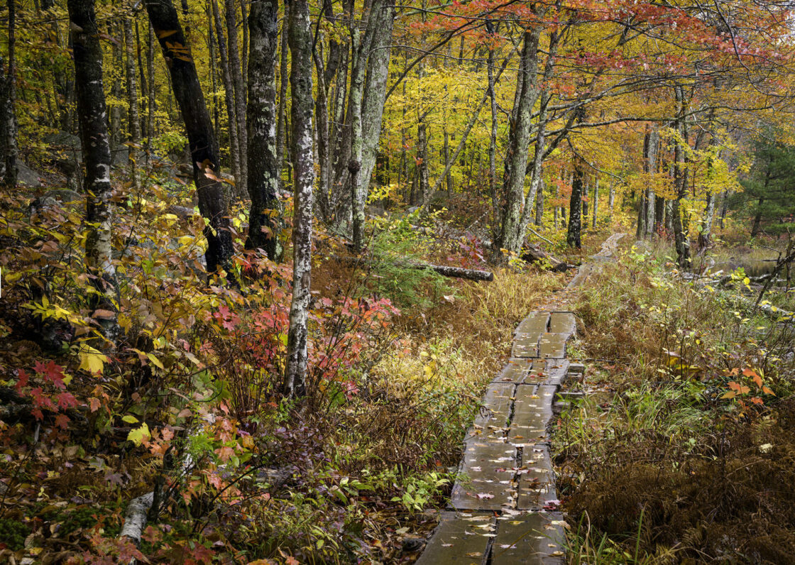 Maine&amp;#039;S Acadia Np In Autumn Photo Tour (October 9-12, 2025) - Nanpa with regard to Acadia National Park In October 2025