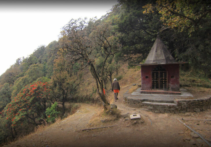 October 29 is National What Day 2025 October 29 is National What Day 2025