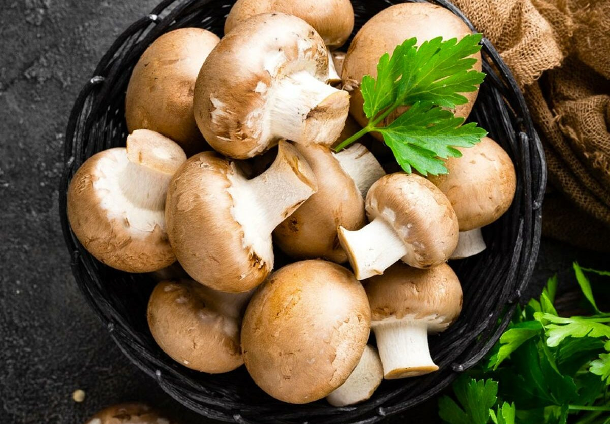 National Mushroom Day - October 15, 2025 - National Today with regard to National Day October 15 2025