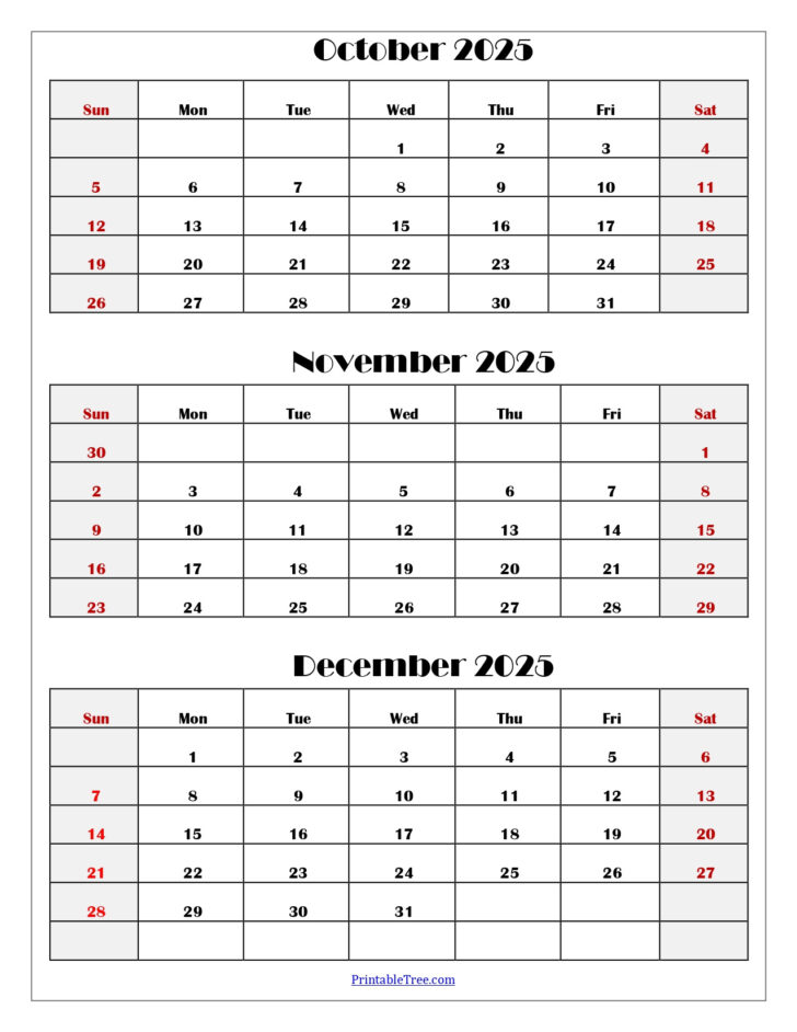 October November December January Calendar 2025