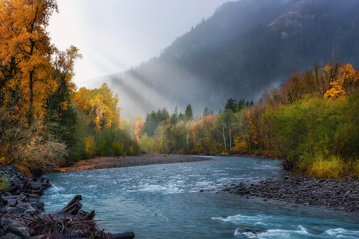 Plan The Best Time To Visit Olympic National Park And Explore intended for Olympic National Park In October 2025