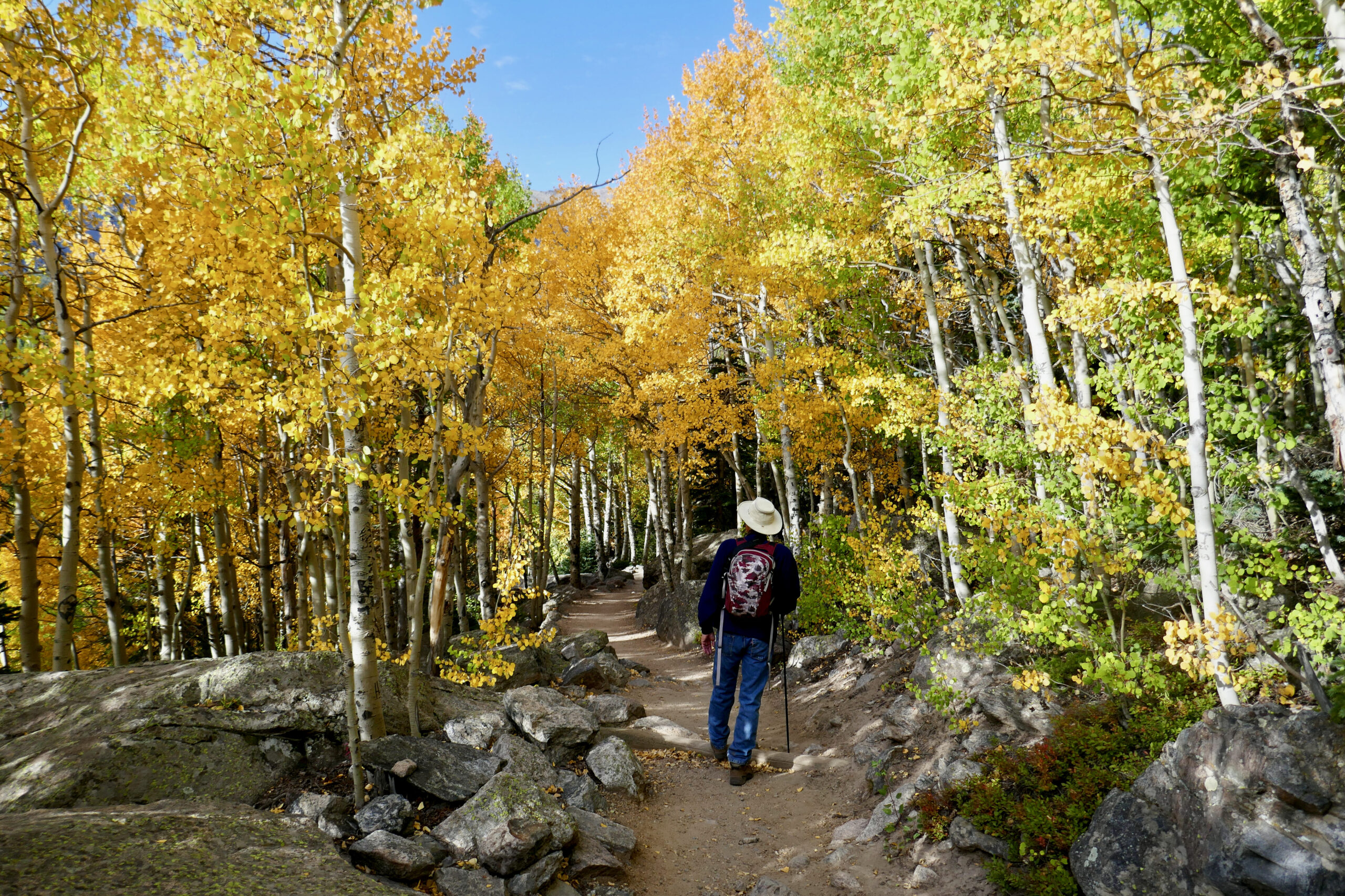 Plan Your Fall Trip To Rocky - Rocky Mountain National Park (U.s. throughout Rocky Mountain National Park in October 2025