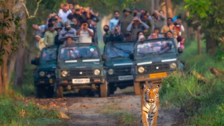 National Parks To Visit in October 2025