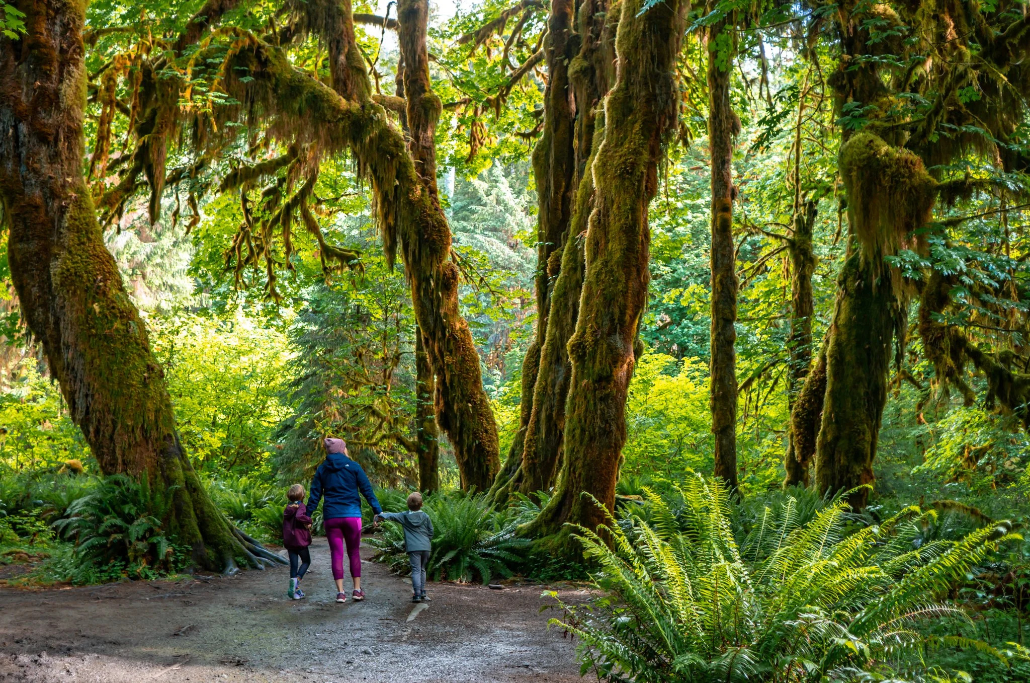 The Perfect 3 Day Itinerary For Olympic National Park — Big Brave pertaining to Olympic National Park In October 2025