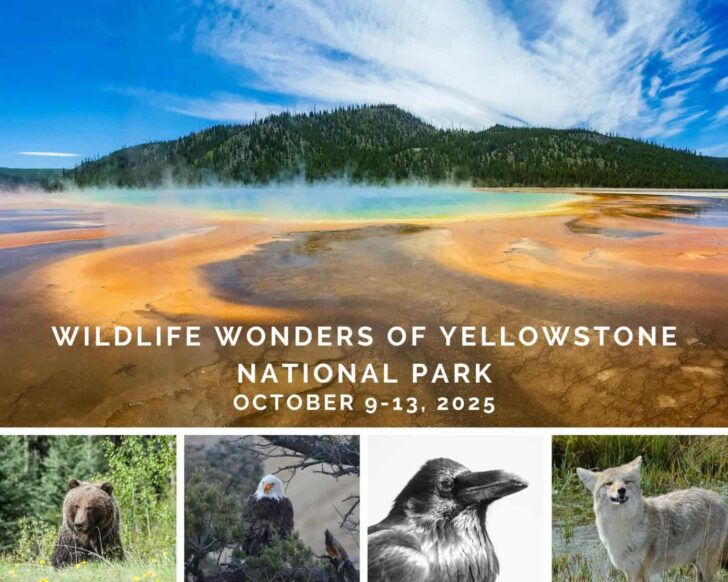 Yellowstone National Park in October 2025
