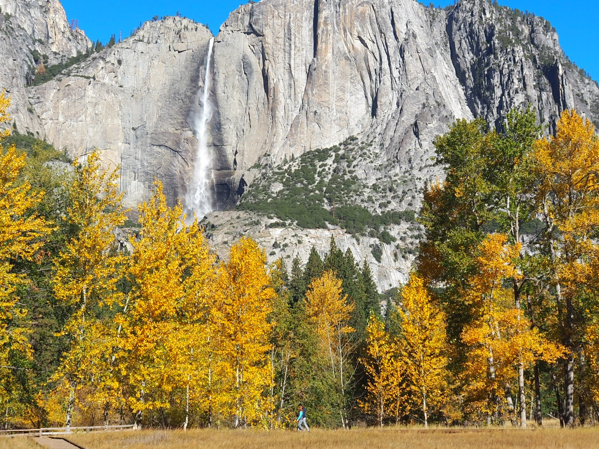 Yosemite In October: A Complete Guide - The Redwoods In Yosemite ® within Yosemite National Park Weather in October 2025