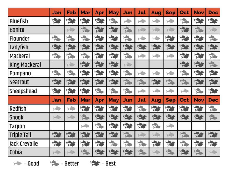 Fishing Calendar November 2025