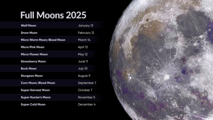 November 2025 Full Moon Calendar
