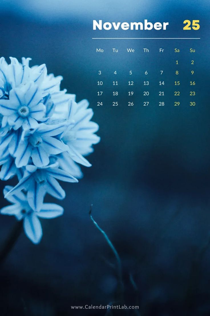 Iphone 2025 Calendar Wallpapers In Hd Download within November 2025 Calendar Phone Wallpaper