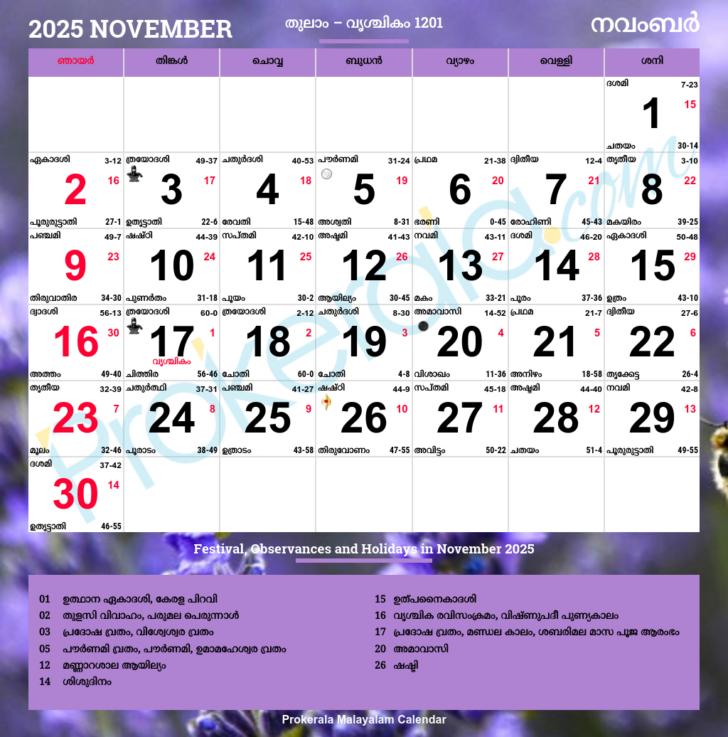 Indian November Calendar 2025
