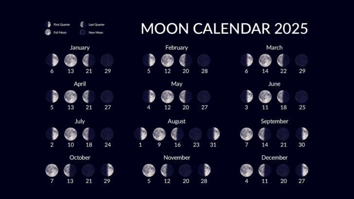Lunar Calendar For Haircut November 2025