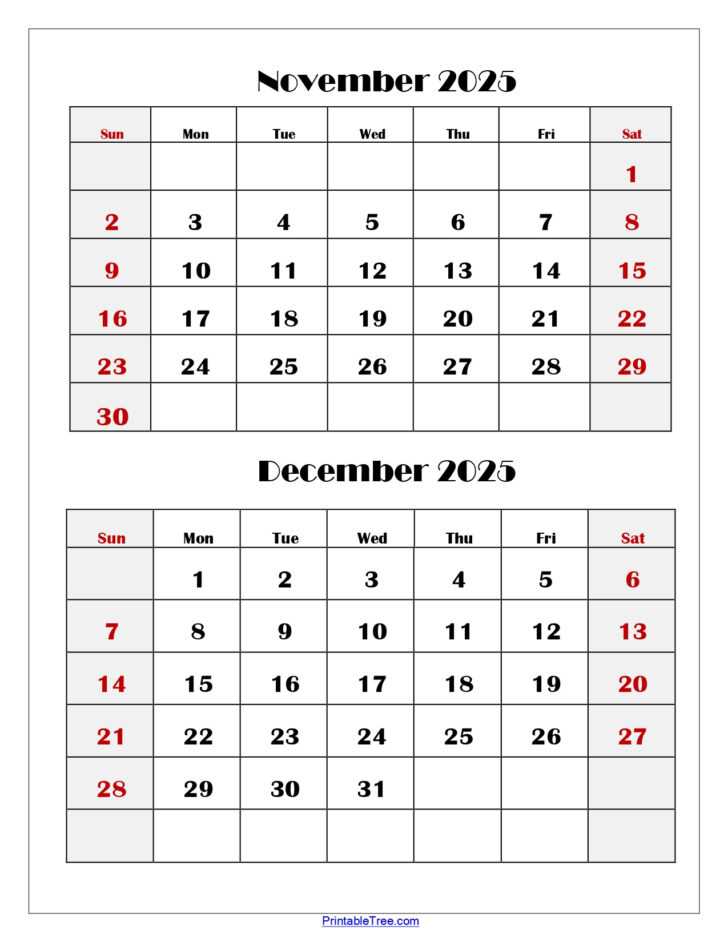 Printable Calendar November December 2025